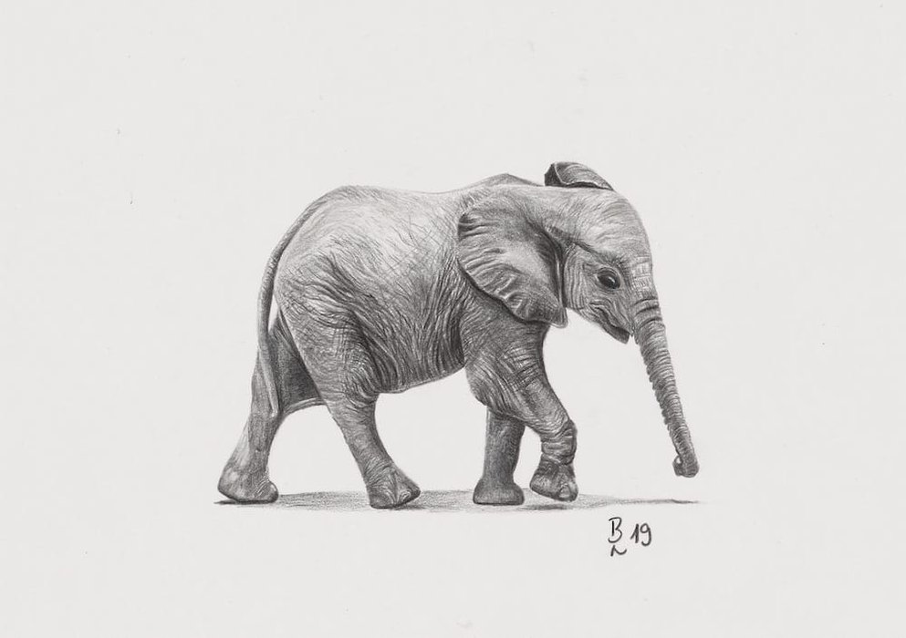 Elefant