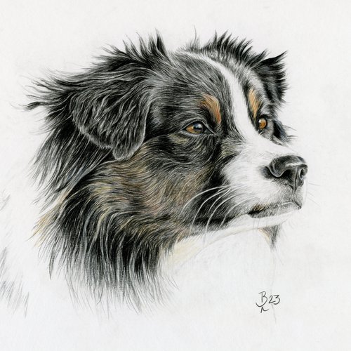 Lotti