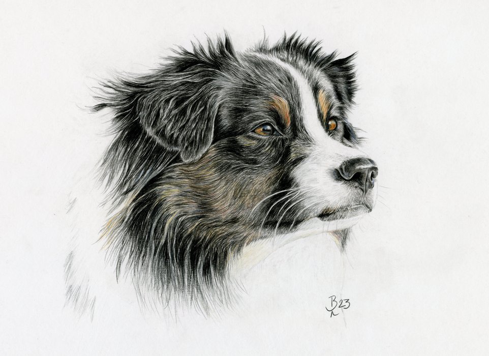 Lotti